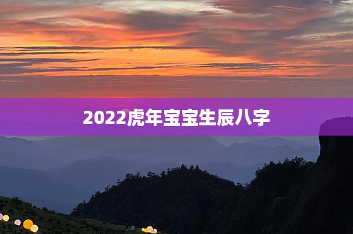 2022虎年宝宝生辰八字第1张-八字查询