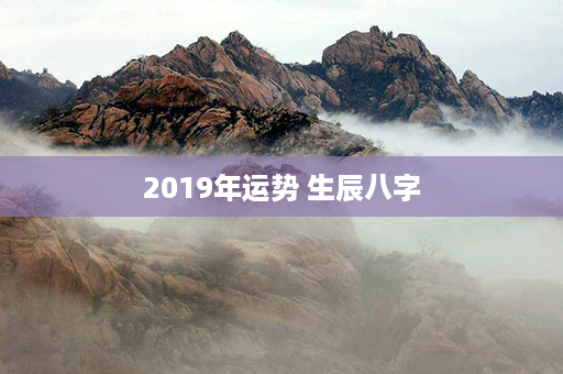 2019年运势 生辰八字第1张-八字查询