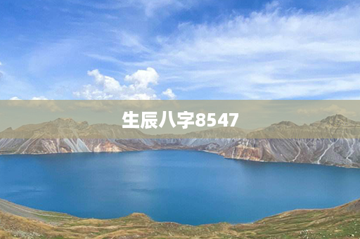 生辰八字8547第1张-八字查询