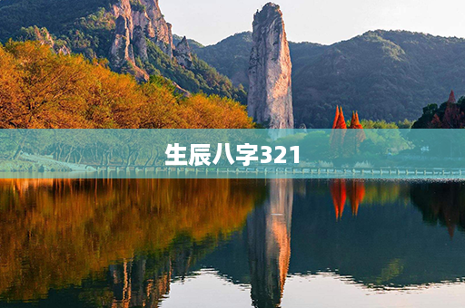 生辰八字321第1张-八字查询