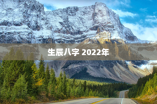 生辰八字 2022年第1张-八字查询