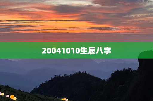 20041010生辰八字第1张-八字查询