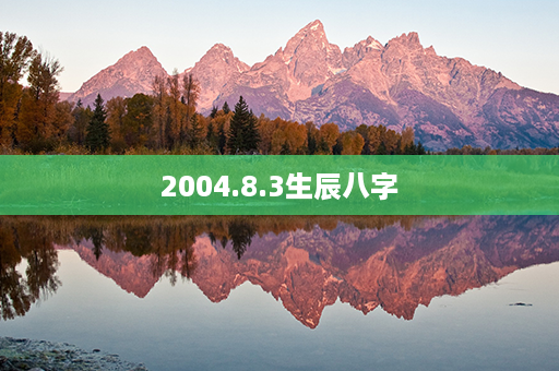 2004.8.3生辰八字第1张-八字查询