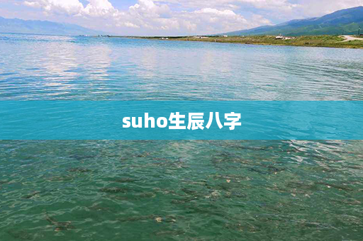 suho生辰八字第1张-八字查询