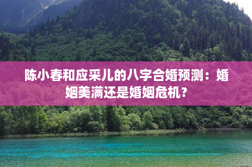 陈小春和应采儿的八字合婚预测：婚姻美满还是婚姻危机？第1张-八字查询