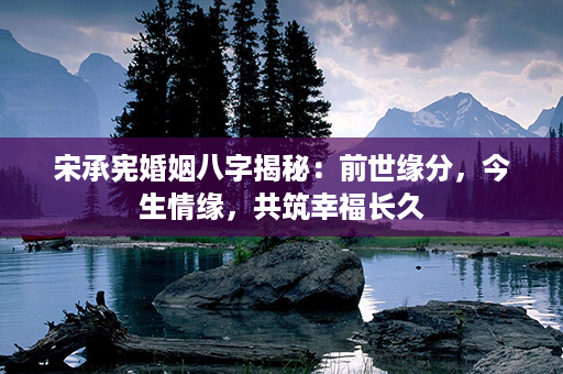 宋承宪婚姻八字揭秘：前世缘分，今生情缘，共筑幸福长久第1张-八字查询