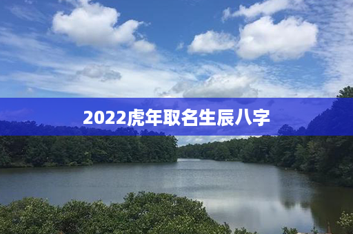 2022虎年取名生辰八字第1张-八字查询