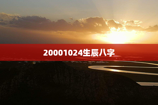 20001024生辰八字第1张-八字查询