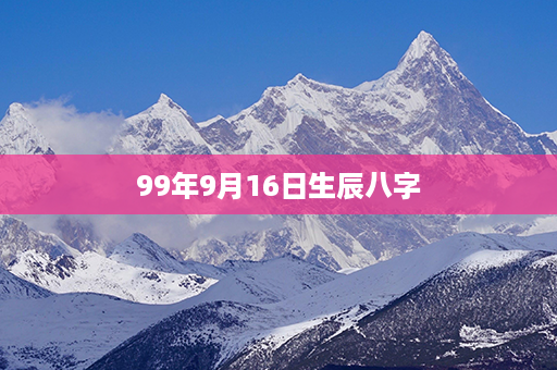 99年9月16日生辰八字第1张-八字查询