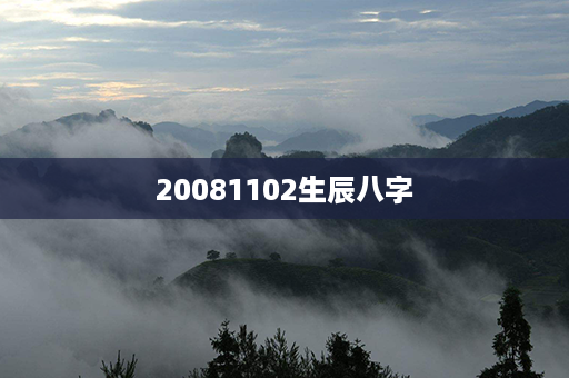 20081102生辰八字第1张-八字查询