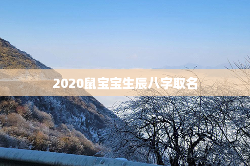 2020鼠宝宝生辰八字取名第1张-八字查询