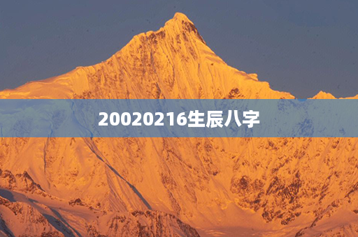 20020216生辰八字第1张-八字查询