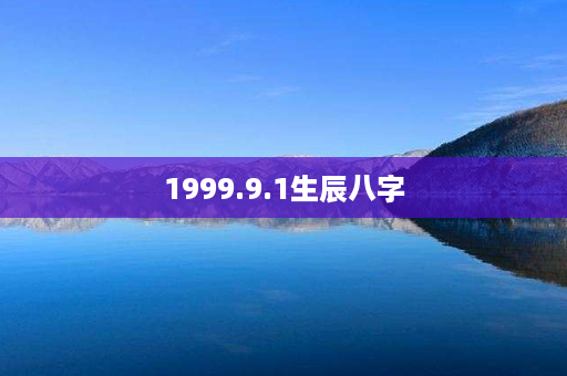 1999.9.1生辰八字第1张-八字查询