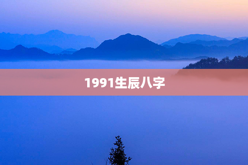 1991生辰八字第1张-八字查询