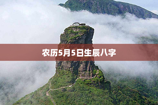 农历5月5日生辰八字第1张-八字查询