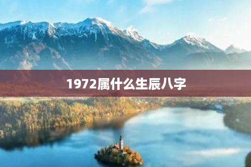 1972属什么生辰八字第1张-八字查询