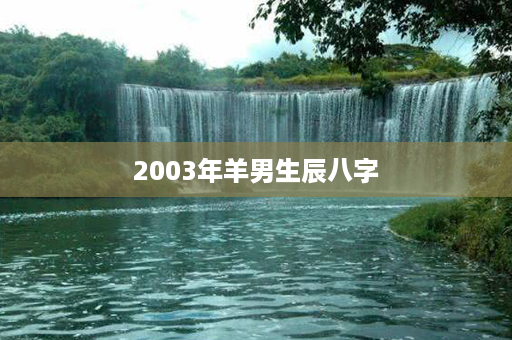 2003年羊男生辰八字第1张-八字查询