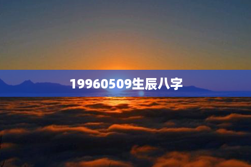 19960509生辰八字第1张-八字查询