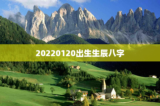 20220120出生生辰八字第1张-八字查询