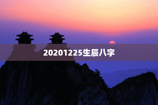 20201225生辰八字第1张-八字查询