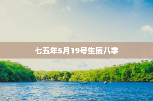 七五年5月19号生辰八字第1张-八字查询