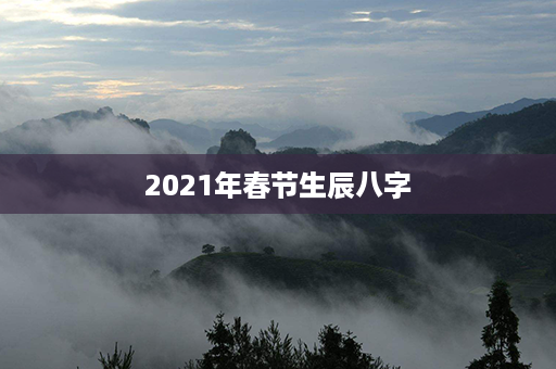 2021年春节生辰八字第1张-八字查询