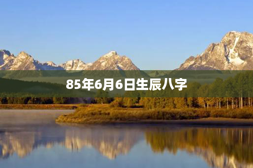 85年6月6日生辰八字第1张-八字查询