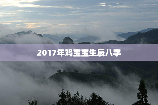 2017年鸡宝宝生辰八字第1张-八字查询