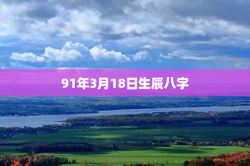 91年3月18日生辰八字第1张-八字查询