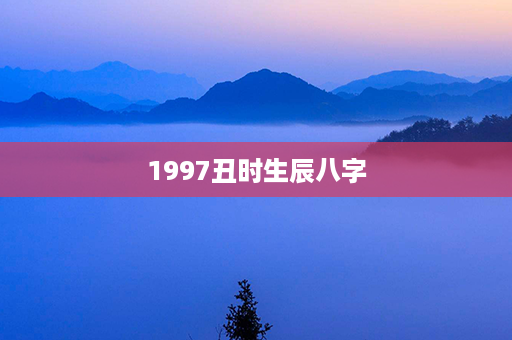 1997丑时生辰八字第1张-八字查询