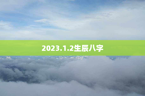 2023.1.2生辰八字第1张-八字查询