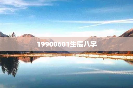 19900601生辰八字第1张-八字查询