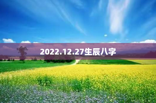 2022.12.27生辰八字第1张-八字查询