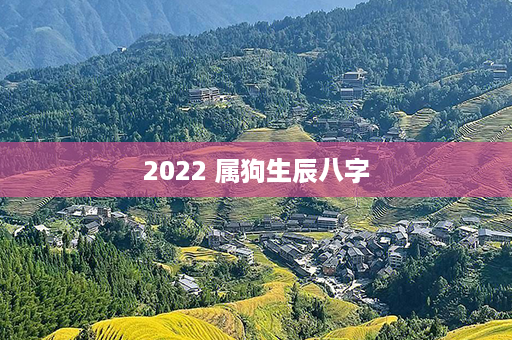 2022 属狗生辰八字第1张-八字查询