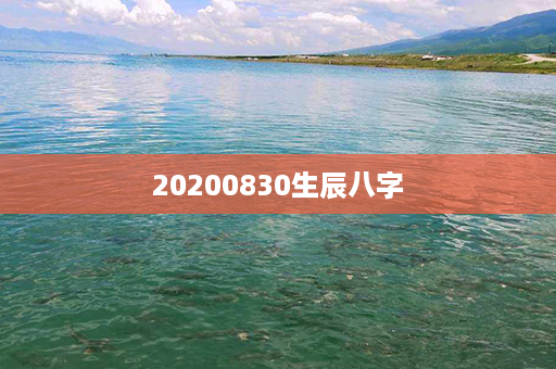 20200830生辰八字第1张-八字查询