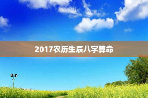 2017农历生辰八字算命第1张-八字查询