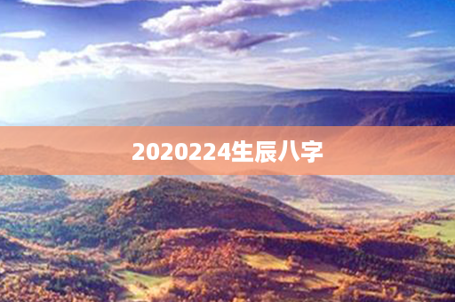 2020224生辰八字第1张-八字查询