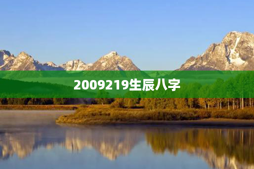 2009219生辰八字第1张-八字查询