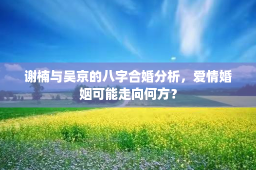 谢楠与吴京的八字合婚分析，爱情婚姻可能走向何方？第1张-八字查询