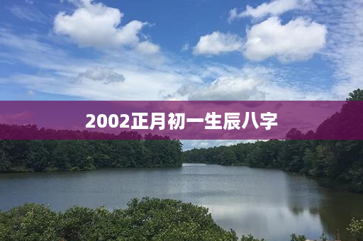 2002正月初一生辰八字第1张-八字查询