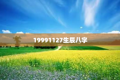 19991127生辰八字第1张-八字查询