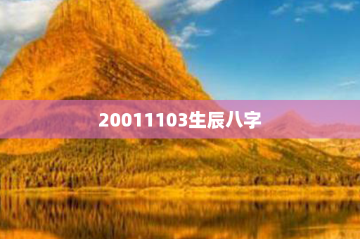 20011103生辰八字第1张-八字查询