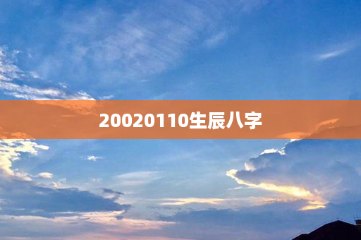 20020110生辰八字第1张-八字查询