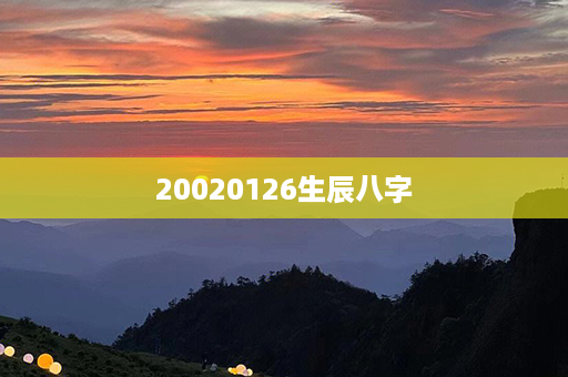 20020126生辰八字第1张-八字查询