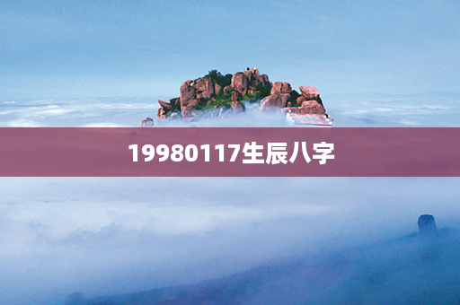 19980117生辰八字第1张-八字查询