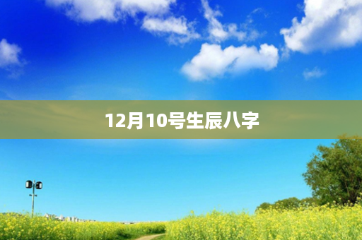 12月10号生辰八字