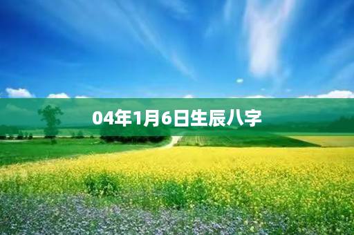 04年1月6日生辰八字第1张-八字查询