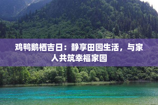 鸡鸭鹅栖吉日：静享田园生活，与家人共筑幸福家园第1张-八字查询