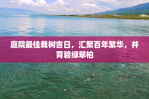 庭院最佳栽树吉日，汇聚百年繁华，并育碧绿翠柏第1张-八字查询