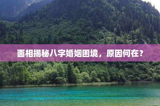 面相揭秘八字婚姻困境，原因何在？第1张-八字查询